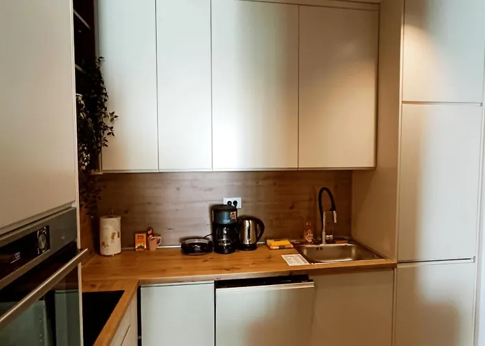 Luxapart Vrbanjusa Old Centar Free Garage Parking